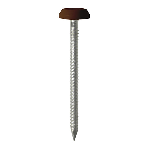 TIMCO Polymer Headed Nails A4 Stainless Steel Mahogany - 65mm - Pack Quantity - 100