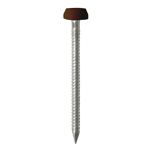 TIMCO Polymer Headed Pins A4 Stainless Steel Mahogany - 30mm - Pack Quantity - 250