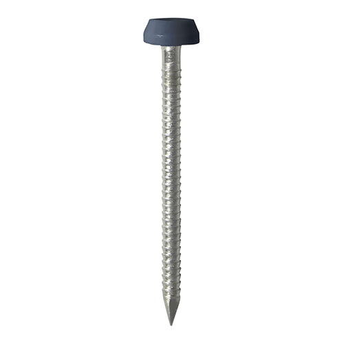 TIMCO Polymer Headed Pins A4 Stainless Steel Anthracite Grey - 40mm - Pack Quantity - 250