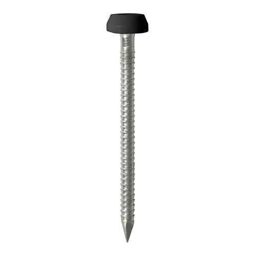 TIMCO Polymer Headed Pins A4 Stainless Steel Black - 40mm - Pack Quantity - 250
