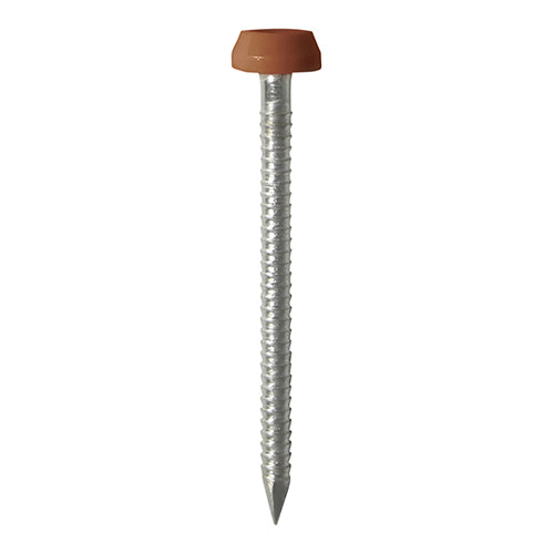 TIMCO Polymer Headed Pin A4 Stainless Steel Clay Brown - 40mm - Pack Quantity - 250