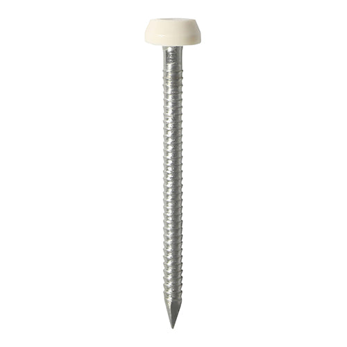 TIMCO Polymer Headed Pin A4 Stainless Steel Cream - 40mm - Pack Quantity - 250