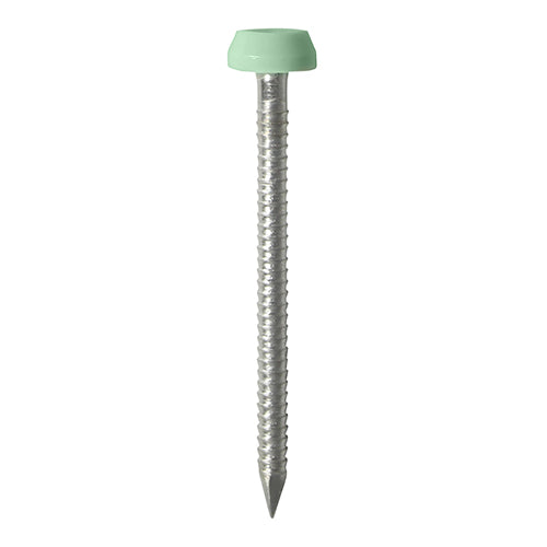 TIMCO Polymer Headed Pins A4 Stainless Steel Chartwell Green - 40mm - Pack Quantity - 250