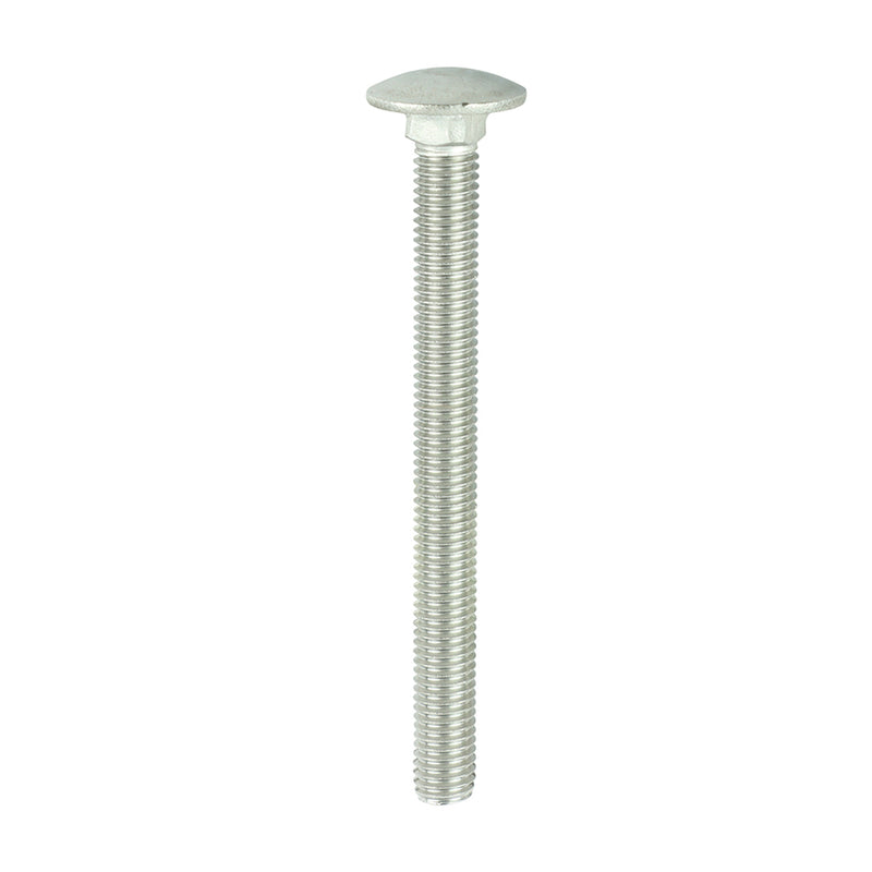 TIMco Carriage Bolts DIN603 A2 Stainless Steel - M10 x 110
