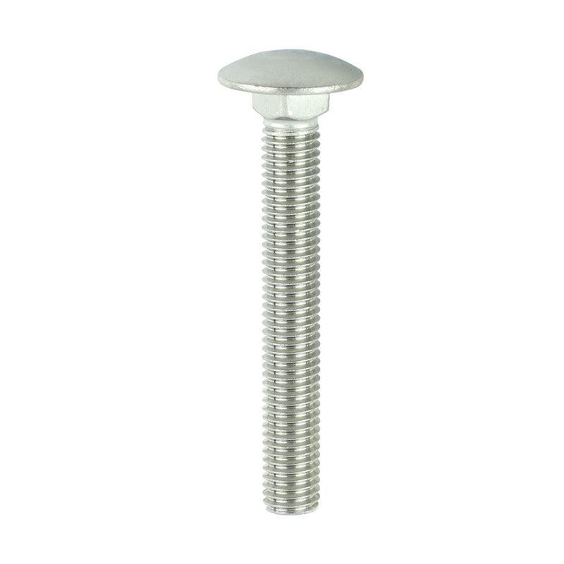 TIMco Carriage Bolts DIN603 A2 Stainless Steel - M10 x 75