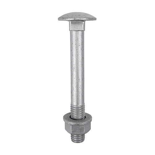 TIMco Carriage Bolts DIN603, Hex Full Nuts DIN934 & Form A DIN125-A Washer Exterior Silver - M6 x 100