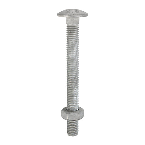 TIMco Carriage Bolts DIN603 & Hex Full Nuts DIN934 Hot Dipped Galvanised - M10 x 180