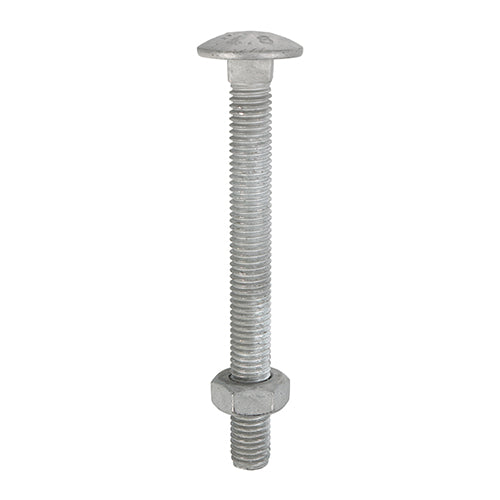 TIMco Carriage Bolts DIN603 & Hex Full Nuts DIN934 Hot Dipped Galvanised - M12 x 75