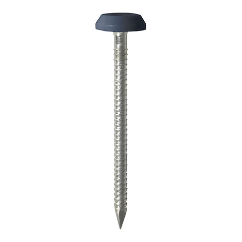 TIMCO Polymer Headed Nails A4 Stainless Steel Anthracite Grey - 50mm - Pack Quantity - 100