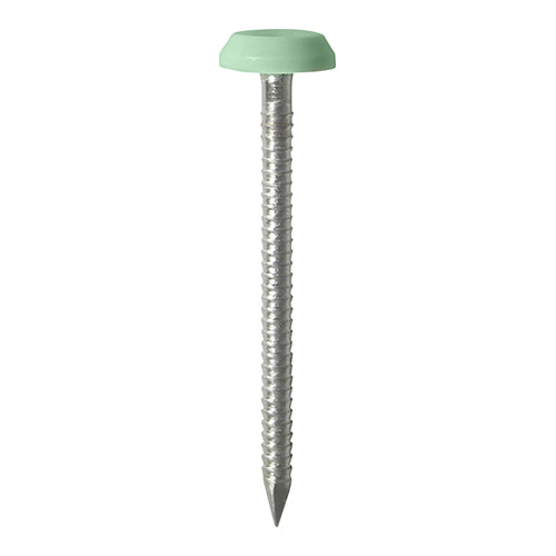 TIMCO Polymer Headed Nails A4 Stainless Steel Chartwell Green - 65mm - Pack Quantity - 100