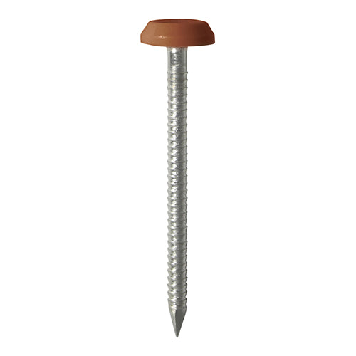 TIMCO Polymer Headed Nails A4 Stainless Steel Clay Brown - 50mm - Pack Quantity - 100