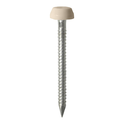 TIMCO Polymer Headed Pins A4 Stainless Steel Beige - 25mm - Pack Quantity - 250