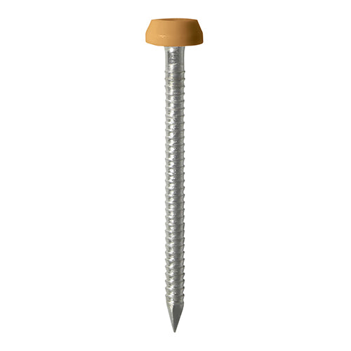 TIMCO Polymer Headed Pins A4 Stainless Steel Oak - 30mm - Pack Quantity - 250