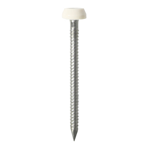 TIMCO Polymer Headed Pins A4 Stainless Steel White - 25mm - Pack Quantity - 65