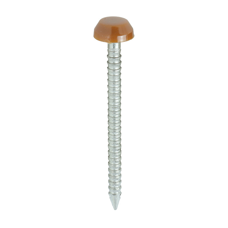 TIMCO Polymer Headed Pins A4 Stainless Steel Clay Brown - 30mm - Pack Quantity - 250