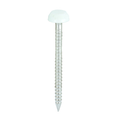 TIMCO Polymer Headed Pins A4 Stainless Steel White - 30mm - Pack Quantity - 250