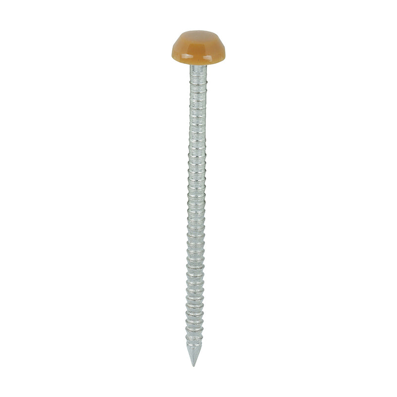 TIMCO Polymer Headed Pins A4 Stainless Steel Oak - 40mm - Pack Quantity - 250