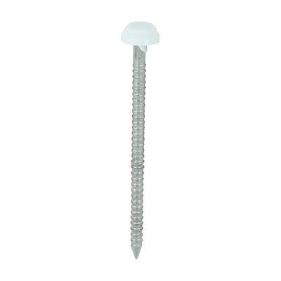 TIMCO Polymer Headed Pins A4 Stainless Steel White - 40mm - Pack Quantity - 250
