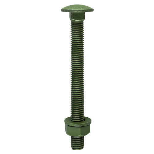TIMco Carriage Bolts DIN603 Hex Nuts & Form A Washers Green Exterior - M10 x 160 - 10 Pieces